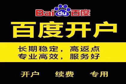 成功SEM推广代运营案例分享
