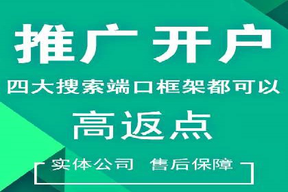 网络推广竞价策略解析与应用案例